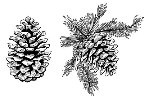 Cone 스톡 일러스트