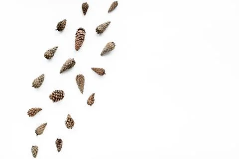 Cone pattern arrangement on white. flat lay, top view. christmas background Stock Photos