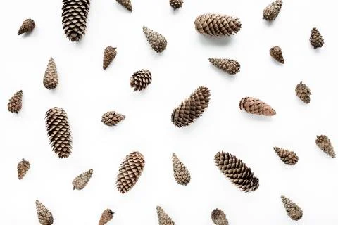 Cone pattern arrangement on white. flat lay, top view. christmas background Stock Photos
