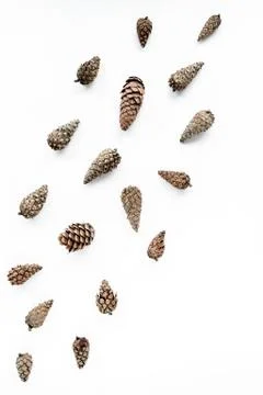 Cone pattern arrangement on white. flat lay, top view. christmas background Stock Photos