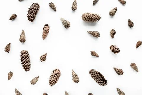 Cone pattern arrangement on white. flat lay, top view. christmas background Stock Photos