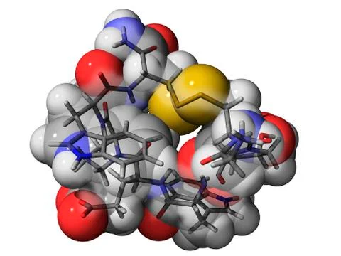Cone snail venom component molecule Illustrazione stock