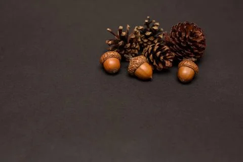 Cones and acorns on the table. space for text Stock Photos