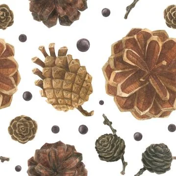 Cones and berries seamles pattern Illustrazione stock