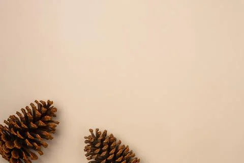 Cones on a beige background. Copy space. Flat lay, top view Stock Photos