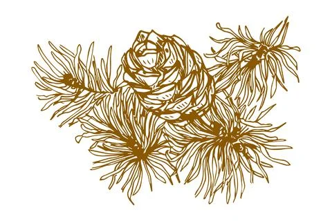 Cones on a branch hand-drawn, Design elements for invitations, greeting cards Stock Illustration