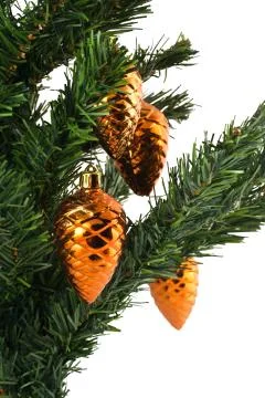 Cones on a christmas tree Stock Photos