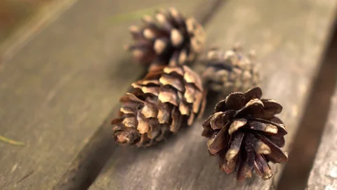 Cones Video stock 114667843