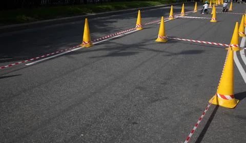 Cones on a gray asphalt background Stock Photos