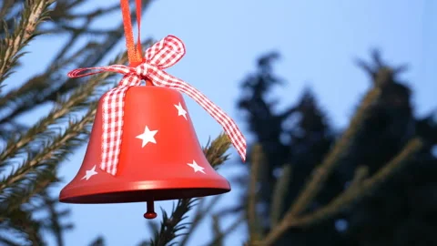 Cones hang on a branch. Stock Footage 122375427