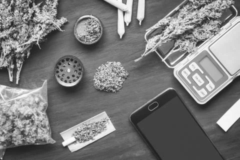 Cones of marijuana flowers on scales, grinder and shredded cannabis black and 스톡 사진