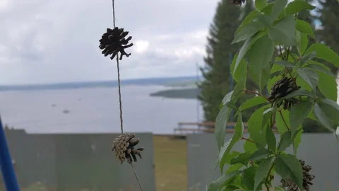 Cones on the rope in the rain Stock Footage 81014545