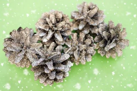 Cones in sequins on a green background with copy space Stock Photos