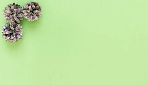 Cones in sequins on a green background with copy space Stock Photos