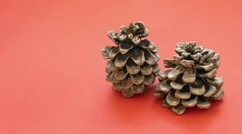 Cones in sequins on a red background with copy space Stock Photos