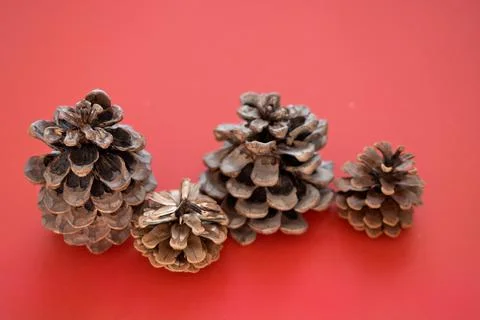 Cones in sequins on a red background with copy space Stock Photos