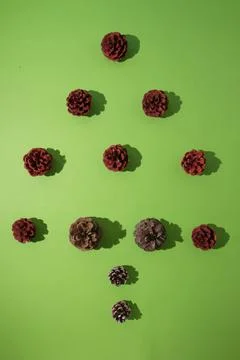 Cones in the shape of a Christmas tree with strong shadows on a light green b Stock Photos