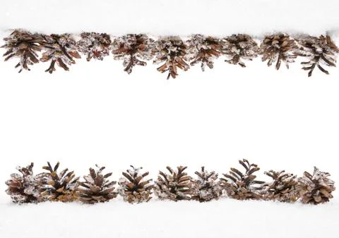 Cones Snow, Winter Frame of Pine Cone, Border Decoration White Isolated Stock Photos