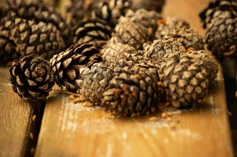 Cones with some sand on the table Stockfoto's