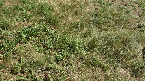 Cones stacked in the shape of a heart upside down Stock Footage 136576116