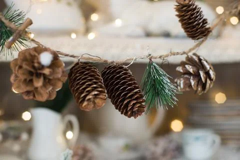 Cones on a string in the studio Stock Photos