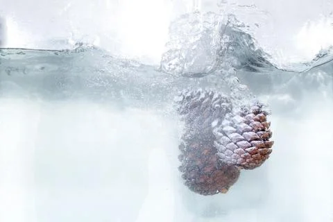 Cones in the water Stock Photos