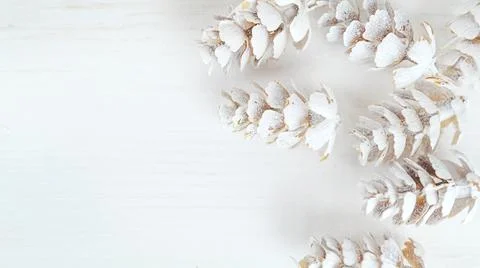 Cones on a white background with very soft focus, tender winter card with copy Stock Photos