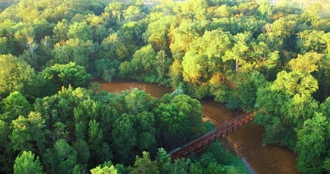 Conestee Park Bridge Greenville South Carolina Stock Footage