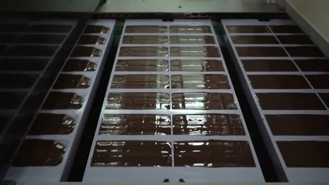 Confectionery factory. Сhocolate production. Trays with chocolate bars move Stock Footage