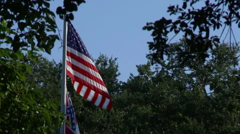 Confederate Flag 9 Stock Footage 51467272