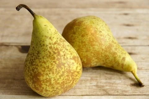 Conference pears Stock Photos