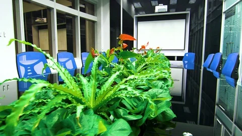 Conference room 27 Stock Footage 89567256