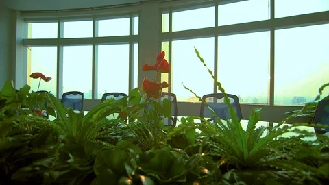 Conference table through plants 05 Stock Footage 89567441