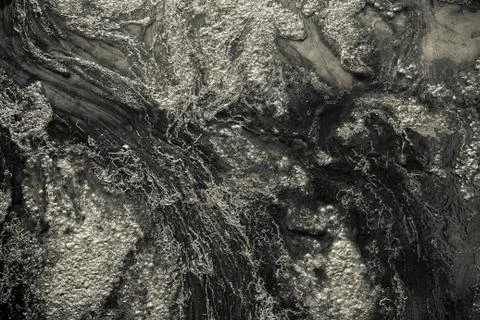 Conferva Stock Photos