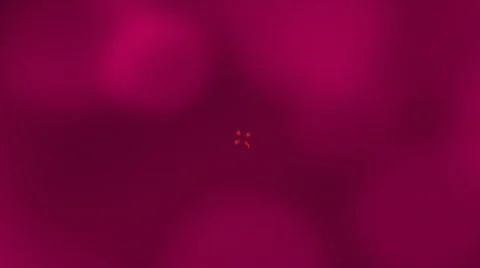 Confession  in love Stock Footage 292086