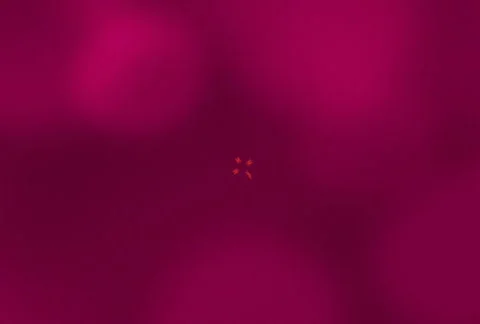 Confession  in love Video stock 292092