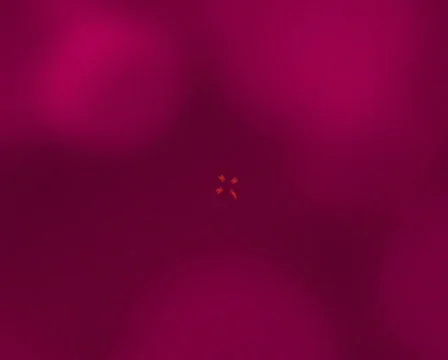 Confession  in love Stock Footage 292102