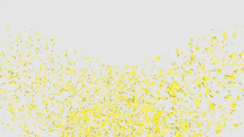 Confetti background. Golden confetti with QuickTime Alpha Channel Prores 4444 Video stock 252205809