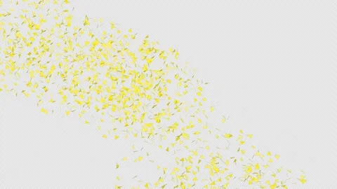 Confetti background. Golden confetti with QuickTime Alpha Channel Prores 4444 Video stock 252205835