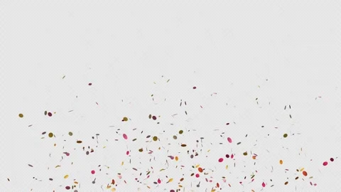 Confetti burst explode loop Animation video transparent background with alp.. Stock Footage 305991946