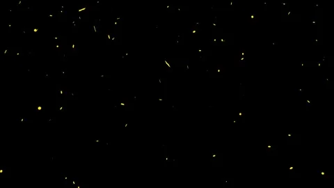 Confetti explosion with transparent background. Celebration Party Burst Effect Stock Footage 316725897