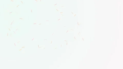 Confetti falling softly against a clean white background Stock Footage 346862683