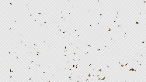 Confetti Video stock 220473458