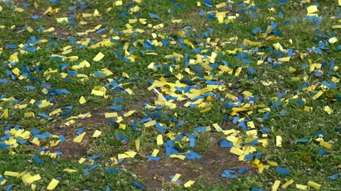 Confetti on grass,  completion of upper secondary school, Sweden Stock Footage 194852513