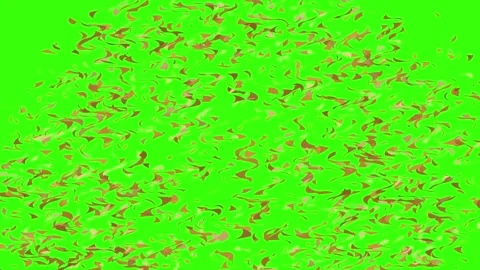 Confetti green screen. Confetti background transparent footage Video stock 251995580