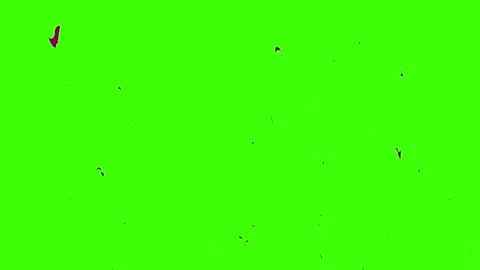 Confetti green screen. Confetti background transparent footage Video stock 251995582