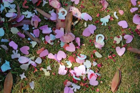 Confetti on lawn Stock Photos