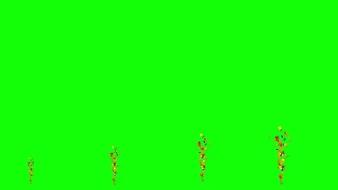 Confetti motion graphics with green screen background Stock Footage 123816051
