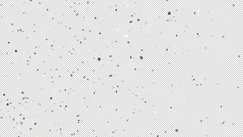 Confetti  Pack 4 Stock Footage 161659883