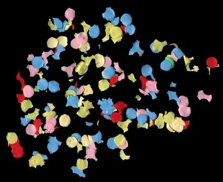 Confetti paper Stock-Fotos